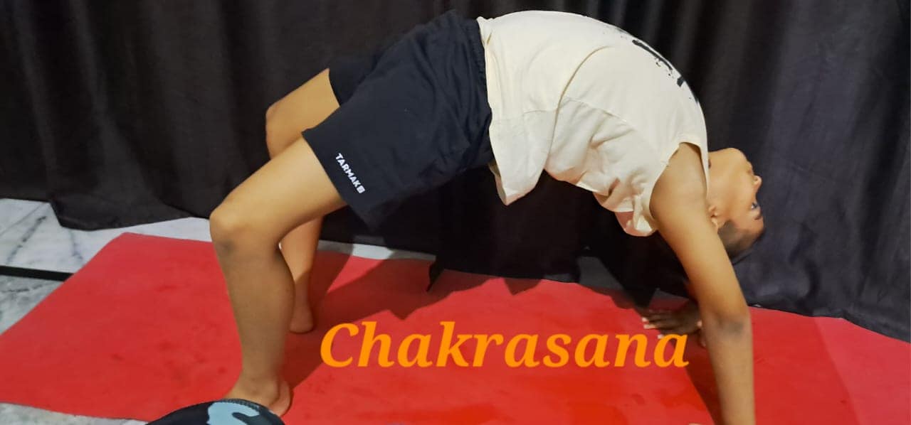 International Yoga Day Celebrations